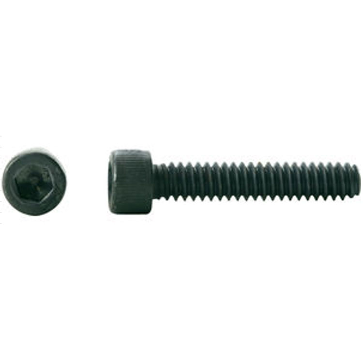 ASTM A574 Alloy Steel Hex Socket Cap Screw